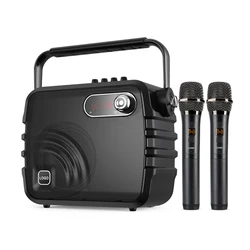 Wholesale Bluetooth Speaker High Range Speaker Multimedia Sound Box with UHF Wireless Mic Support Monitor Recording Broadcast