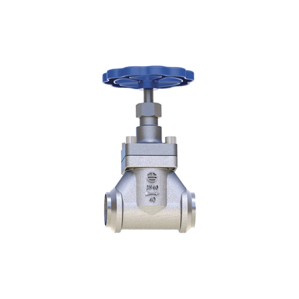 high security valve DJ-25G factory provide High quality cryogenic globe valve assembly 4.0MPa marine valve