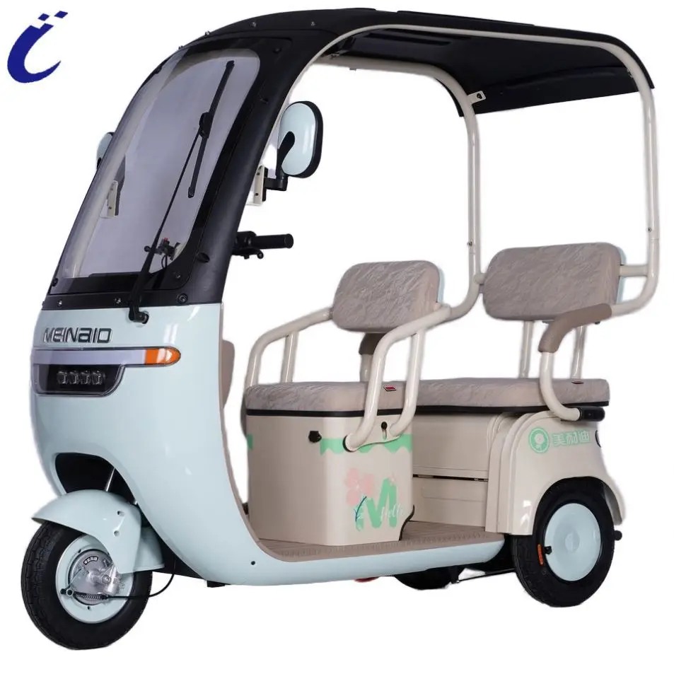 Luxury 3 Wheels Electric Tricycles Waterproof  Handle Electric Tricycle for Adult with roof