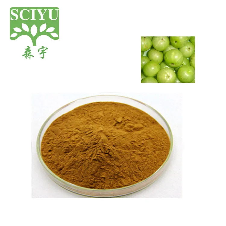 100% pure 10:1 20:1 india Amla berry juice extract powder