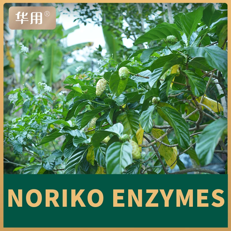
Hainan Hua uses 500 ml of nori fruit enzyme stock solution to serve the global health industry 