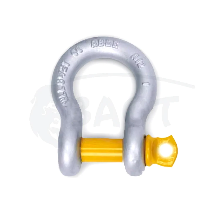 BAOT Steel Forged Ring Clevis Lifting Rigging Anchor Bow Shackle with Screw Pin