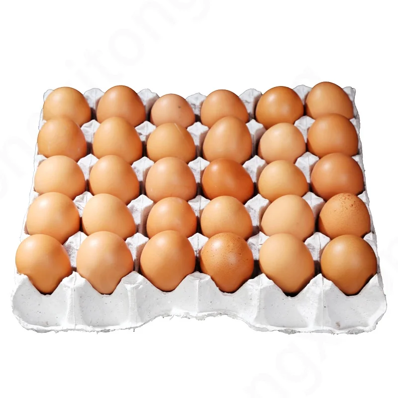 Biodegradable 30-Cell Egg Carton Eco-Friendly Paper Pulp Egg Tray and Storage Box Sustainable Plate and Bowl Product