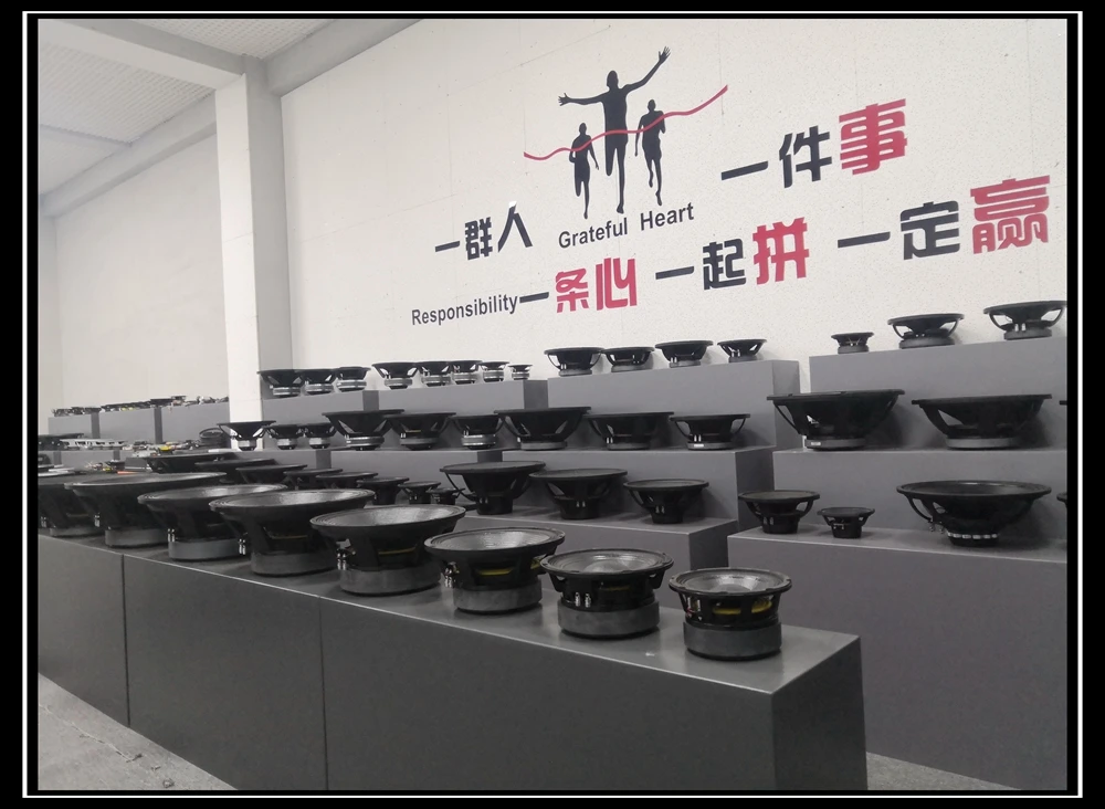 24 inch sub woofer speakers with super big power 5000 watts 8 ohm 24180-003A