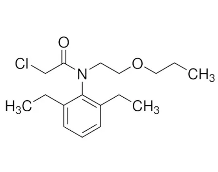 High selective herbicide Pretilachlor 30% EC 50% EC pretilachlor 720 ec 720 g/l e for rice paddies