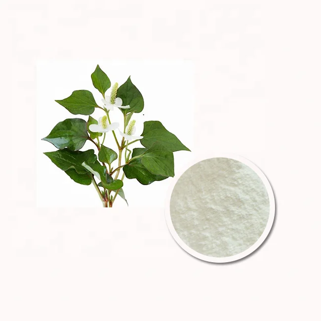 Натуральное функциональное сырье, экстракт травы хауттюнии кордаты, порошок хауттюйфонат 98%