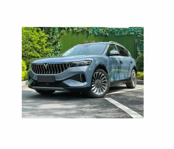 Новый дизайн хорошее качество Lantu Auto Бесплатная 2021 с четырьмя приводами расширенного диапазона эксклюзивный роскошный набор 1 50 t Kingdom Vi