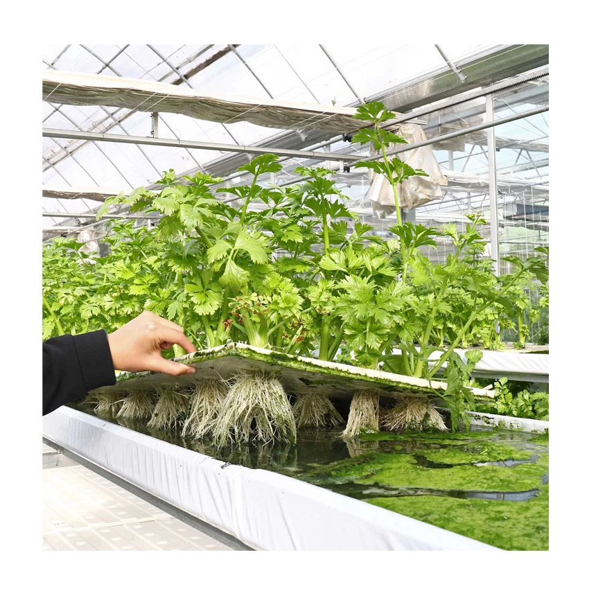  Multi-span Plastic Tunnel PE/ PO Film Agricultural Greenhouse with Hydroponics System Cheap