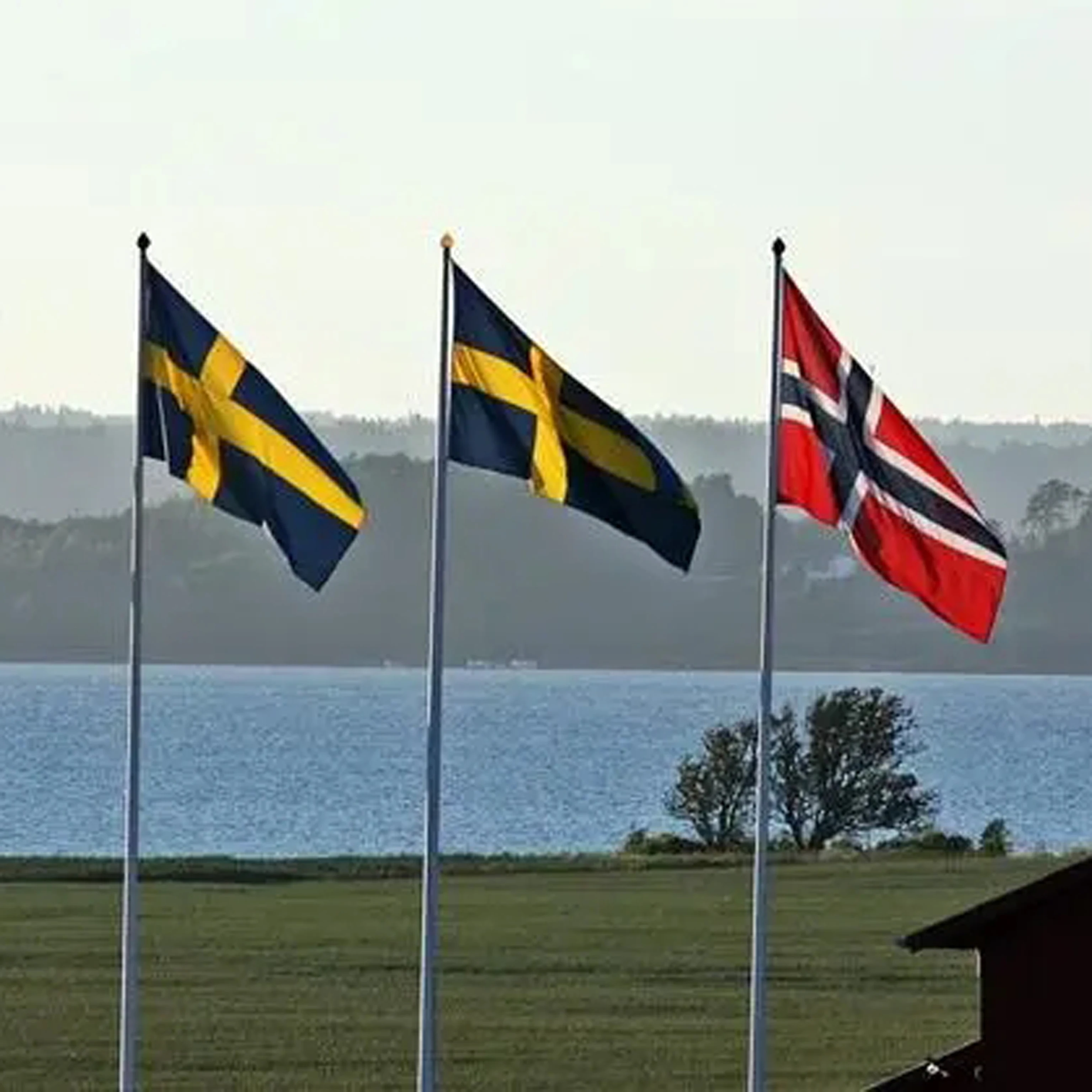 Custom Flag of Sweden Unique Design Hand Sewn Nylon Flag High Quality Materials Size - 3x5 Ft 90x150 cm