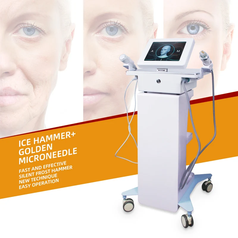 Best product 2 in 1 Gold Needle Wrinkle Removal Fractional Rf Microneedle Machine