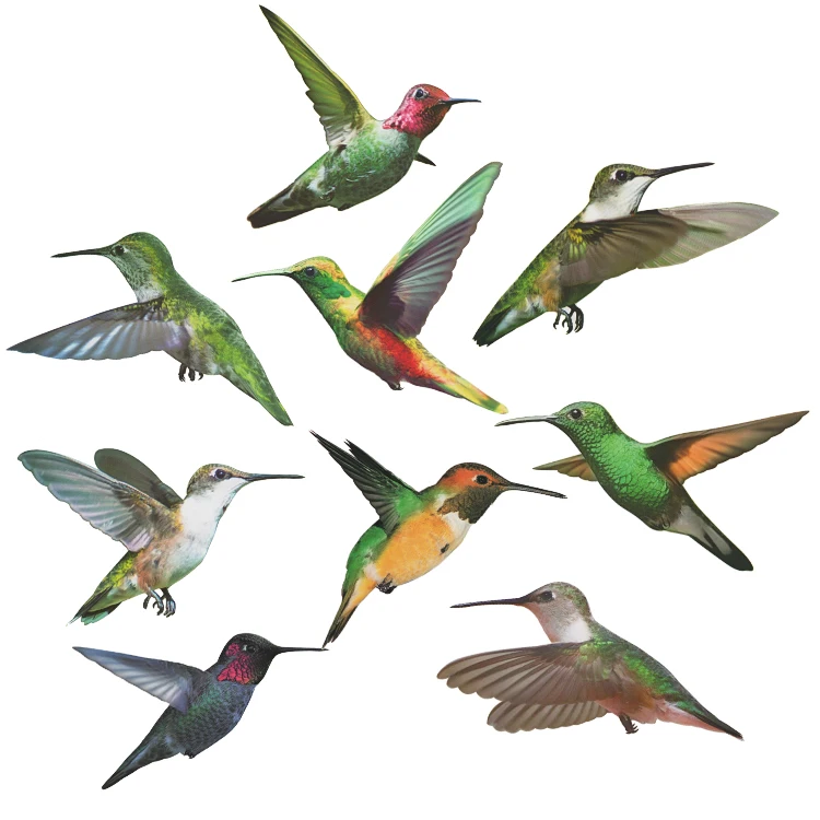 Наклейки на окна предотвращают удары птиц стекло наклейки без клея для защиты от столкновений