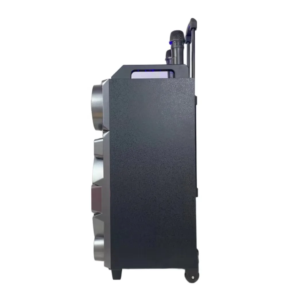 2021 new, 10 inch, trolley bass speaker, DJ sound effect, with USB TF BT TWS FM microphone