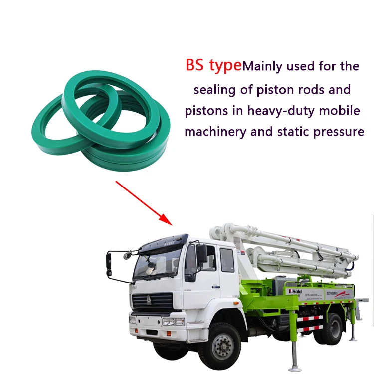 Wear resistant piston rod BS double lip oil seal