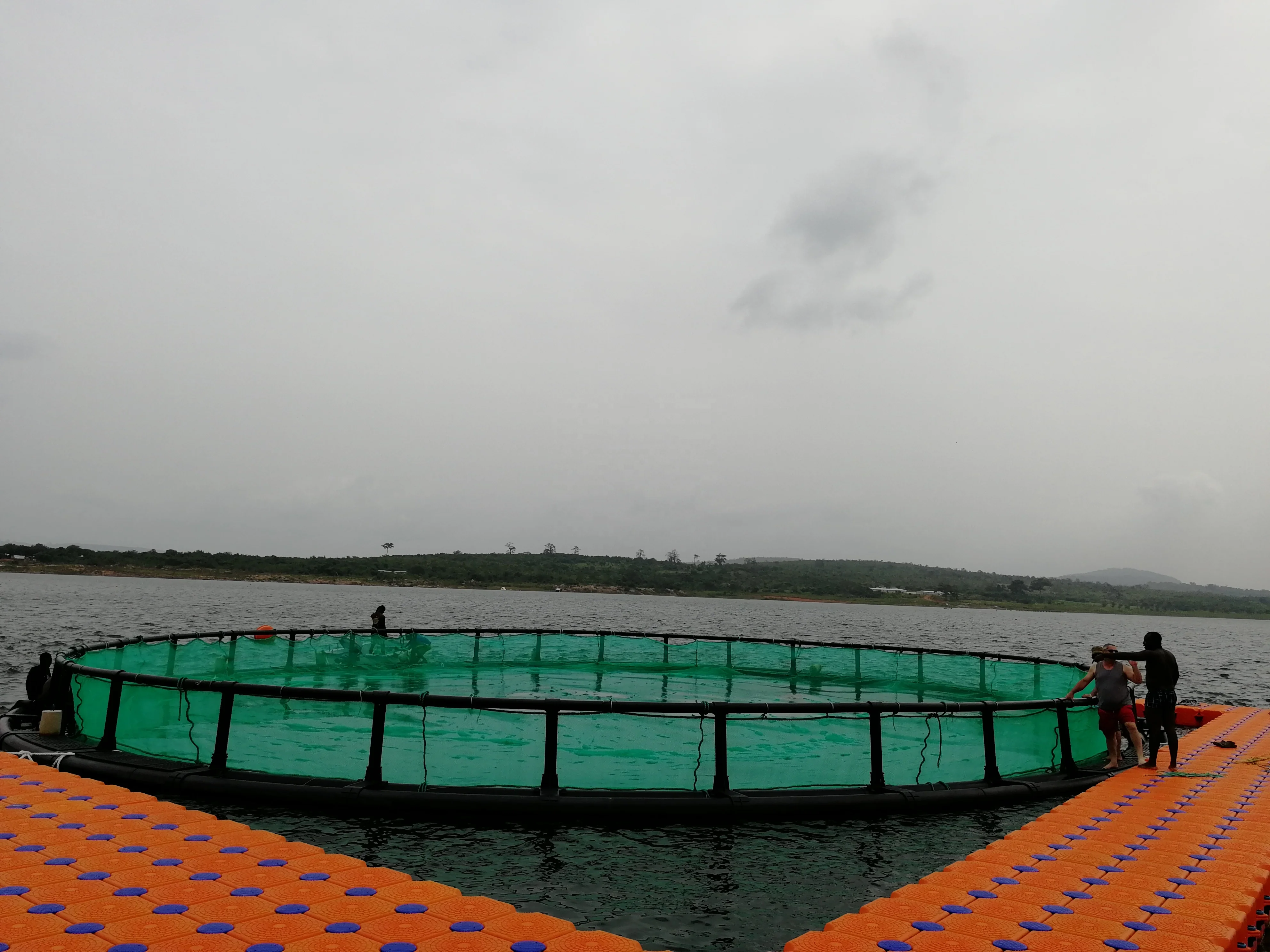 Round Cage in Deep Sea for Salmon Fish Farm