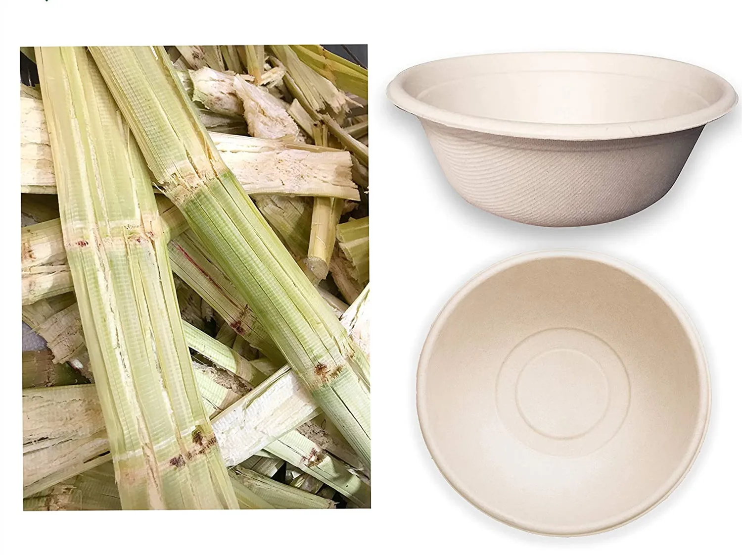 16 унций экологически чистые волокна одноразовые Compostable Bagasse сахарного тростника