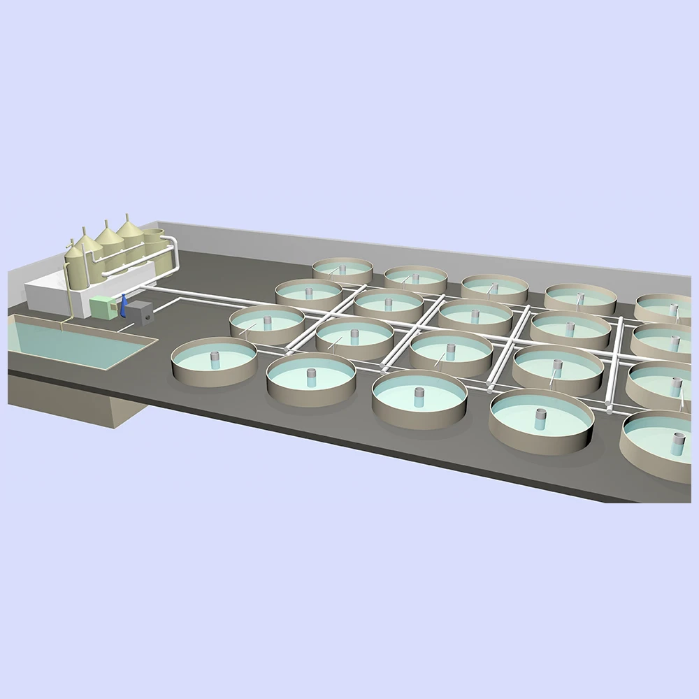 Aquaculture Biological Filter Recirculating Aquaculture System/RAS/Fish Grow Out System