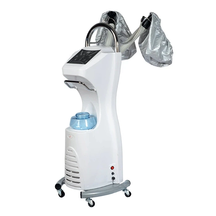 Beauty Salon Barber Shop Two-way Professional Multi-function Ozone Spa Care Nano Spray Equipment Micro Mist Hair Steamer