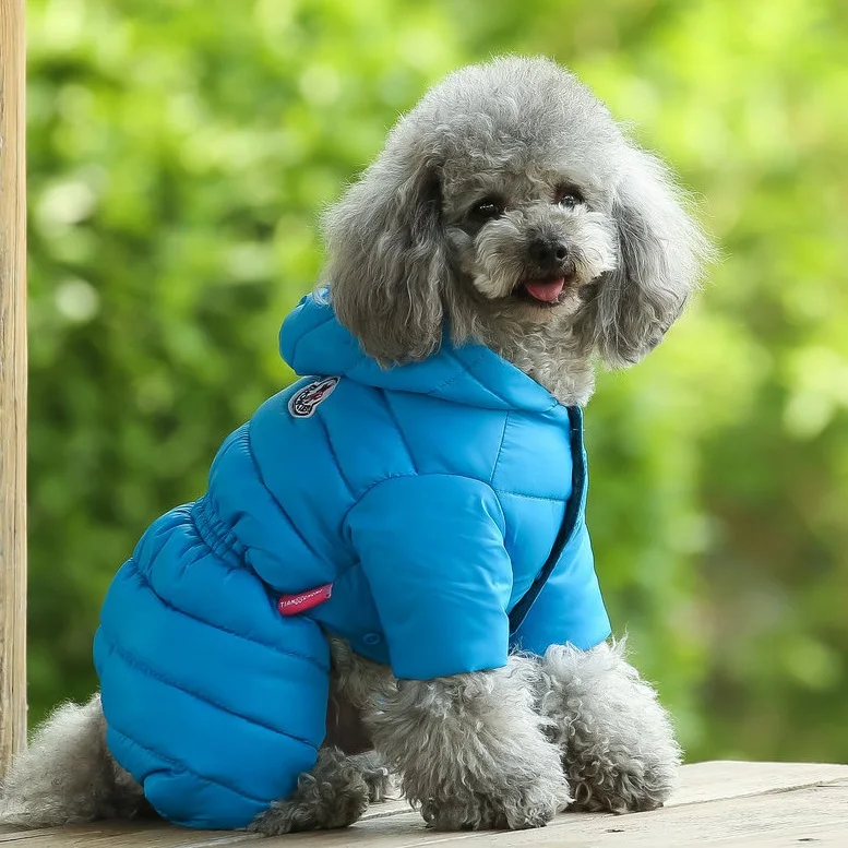 Wholesale high quality windproof down padded jacket dog warm coat pet dog clothes