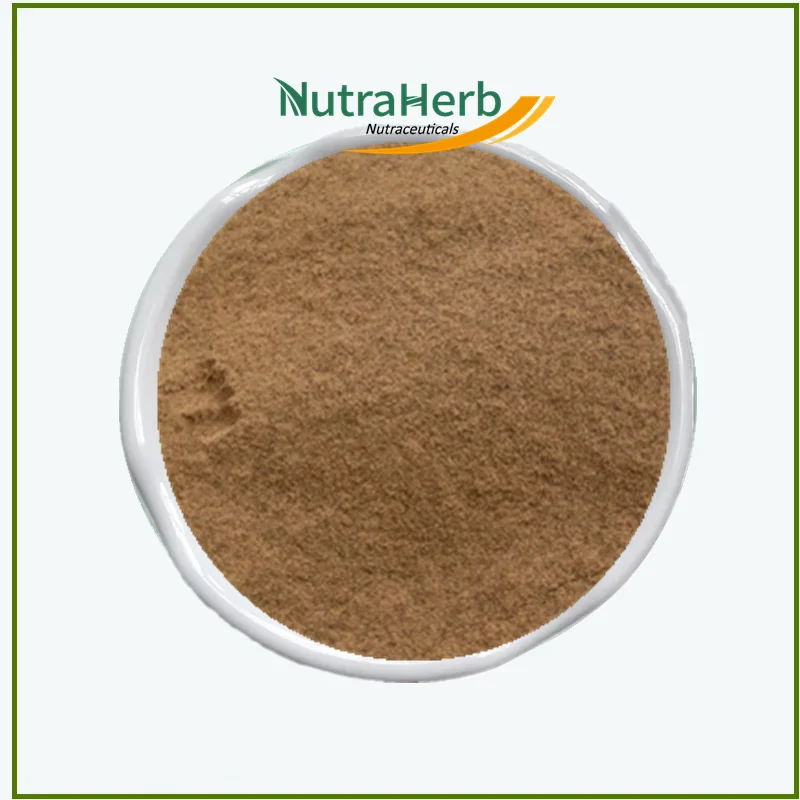 Hot Sale Mint Powder Mentha Piperita Leaf Extract 10:1 Peppermint for Selling