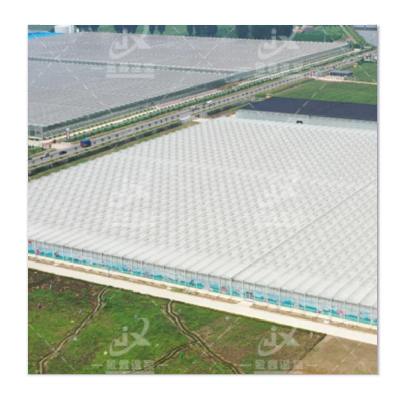 Experience Affordable Greenhouse Excellence - Durability and Wind Resistance