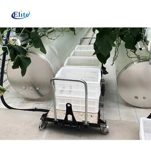 Single-layer harvest trolley for tomato picking simple tool cart pipe rail transport tools for greenhouse