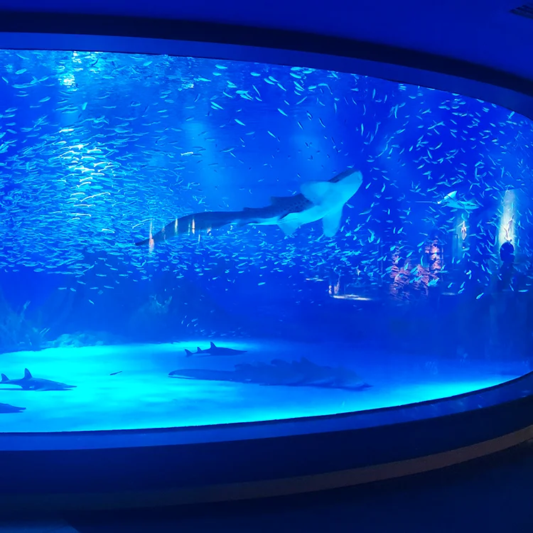 Acrylic Glass For Aquarium Tank Large High Gloss Sheet Viewing