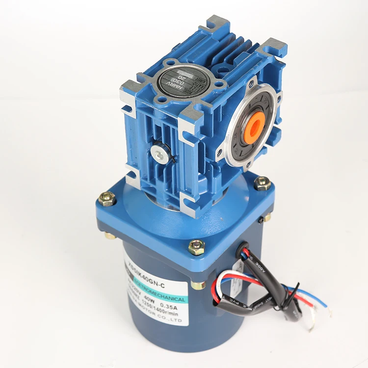 220V AC turbine reducer motor 40W slow micro motor small worm positive and negative large torque motor