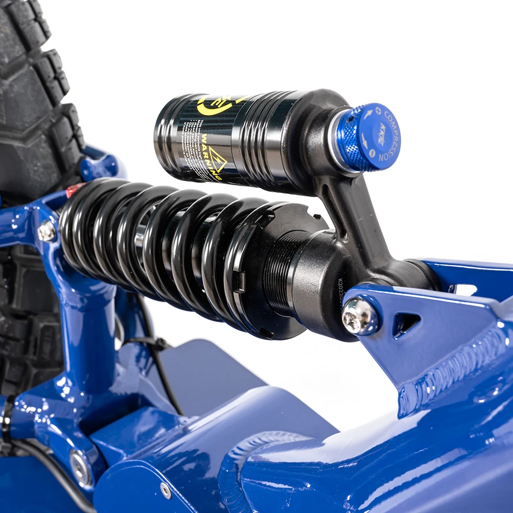 2023 Mario Electric Scooter with 250w BaFang Hub Motor