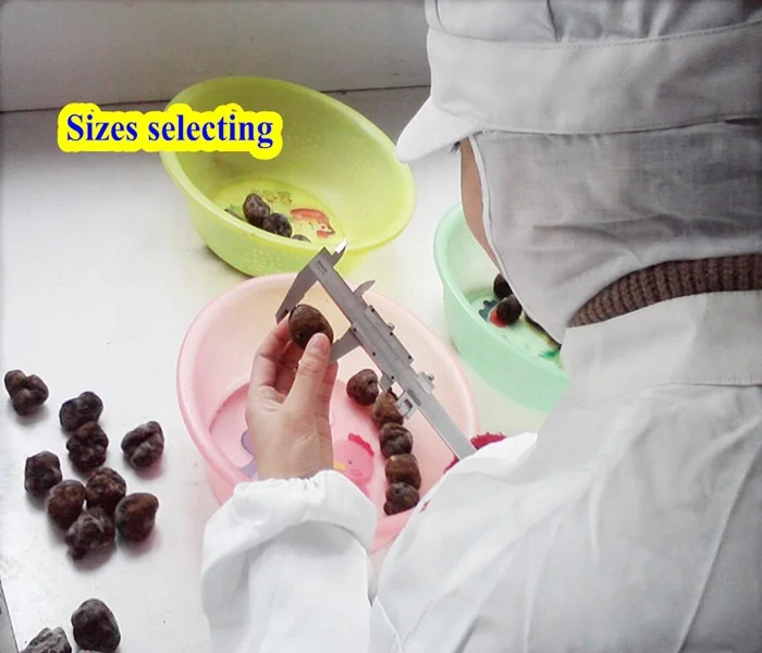 Market prices for mushrooms of hot sale black tuber indicum / frozen truffle