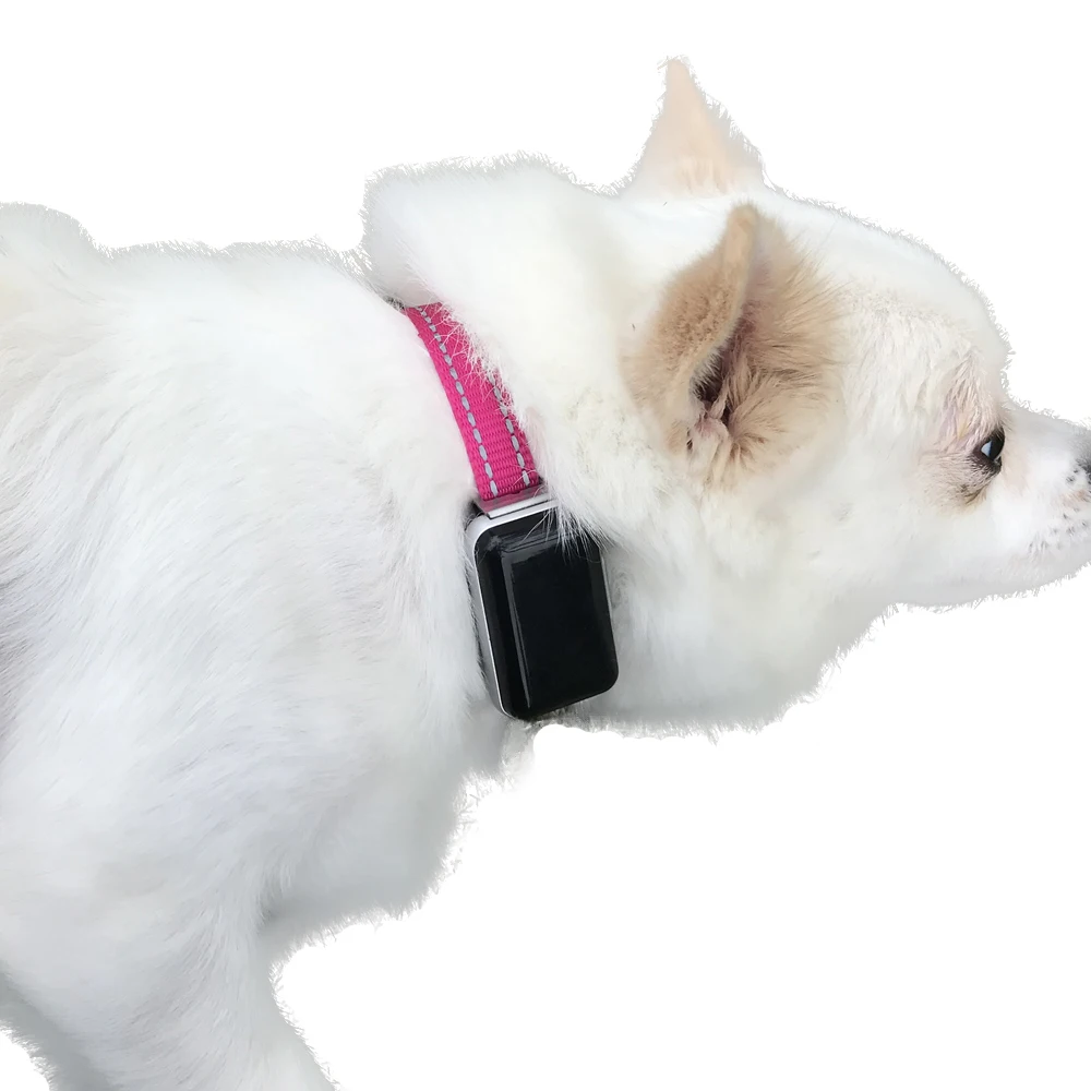 iTracksafe waterproof small chip pet gps tracking device