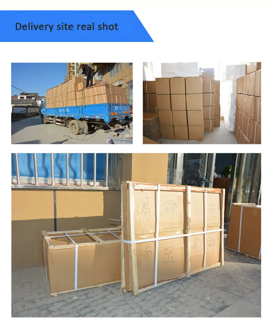 Chicken Duck Quail Trays Mini Lab Shaker Eggs Incubators Hatching