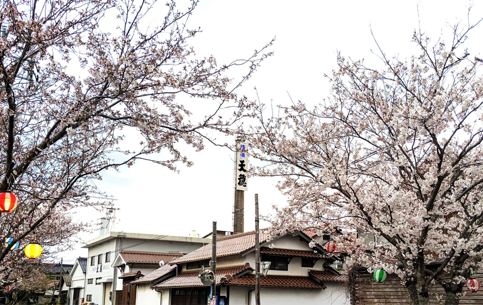 A little ginjo aroma price of Japanese sake rice wine flavors