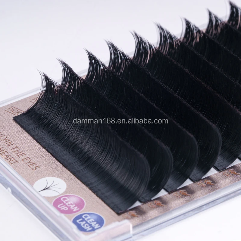 China Eyelash Factory Korea PBT Easy Fans Lashes Custom Eyelash Extensions Camellia Eyelashes