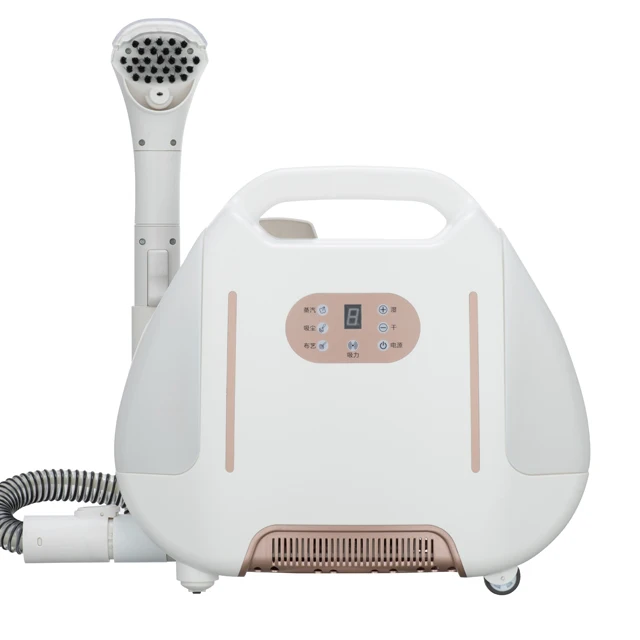 2600W High Power with 12.5 kPa Suction Fabric Sofa Cushion Carpet Cleaning Machine steam cleaner with vacuum