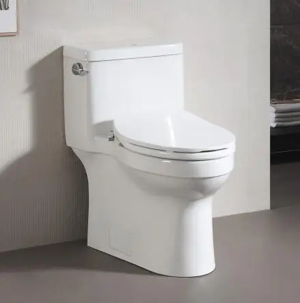 Modern intelligent toilet with bidet home and hotel decoration one piece wc 2022 luxury toilet bowl with UPC,EPA,EGS certificate