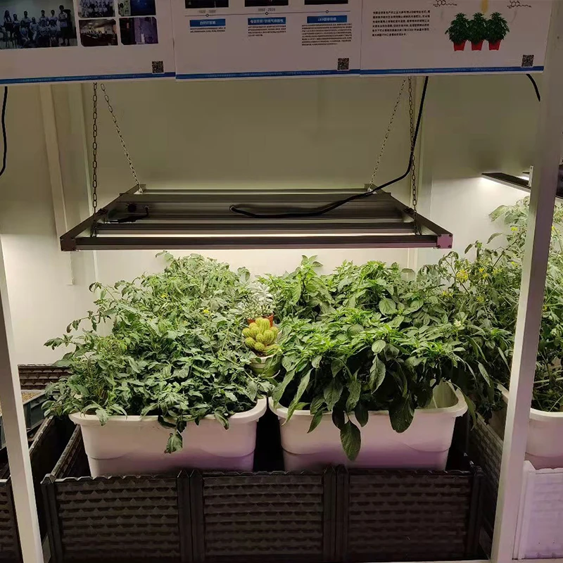 Vertical Farming 3 Folding 1000W Full Spectrum Lm301b Led Strip Light Hydroponic Grow System For Growing Equipment Indoor Plants