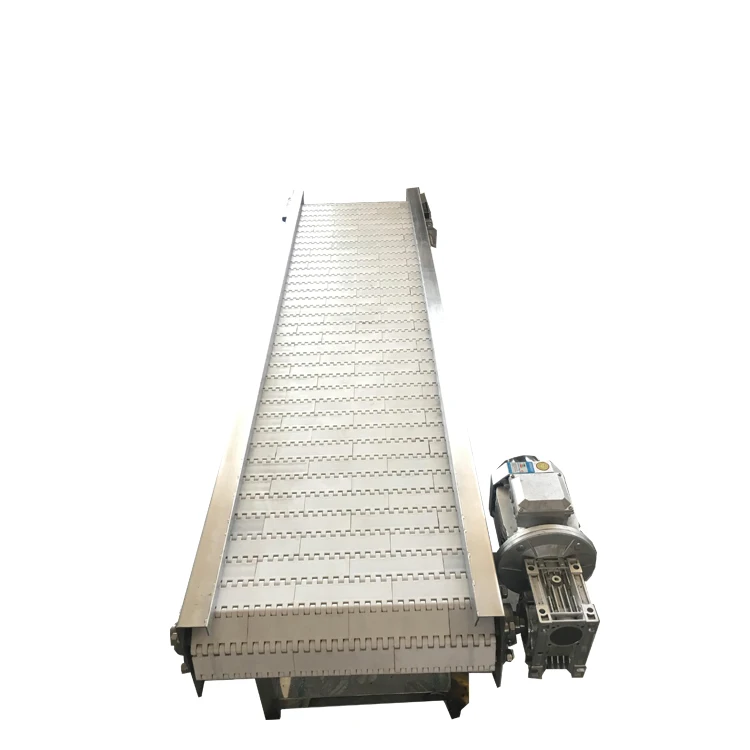 Automatic conveyor belt systems for transporting food