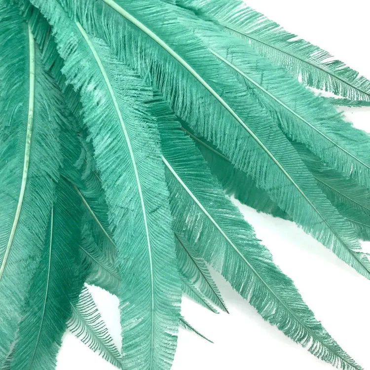 Trimmed 20-24inch Ostrich Nandu Feathers