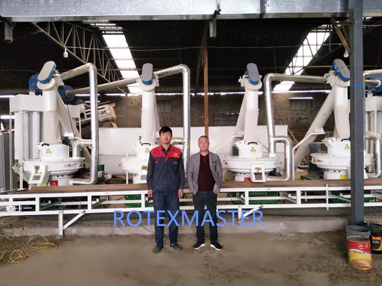 Rotex Master Hot Sale 132kw New Type Industrial Wood Pellet Mill Machine/Wood Pellet Making Machine 6mm Pellets