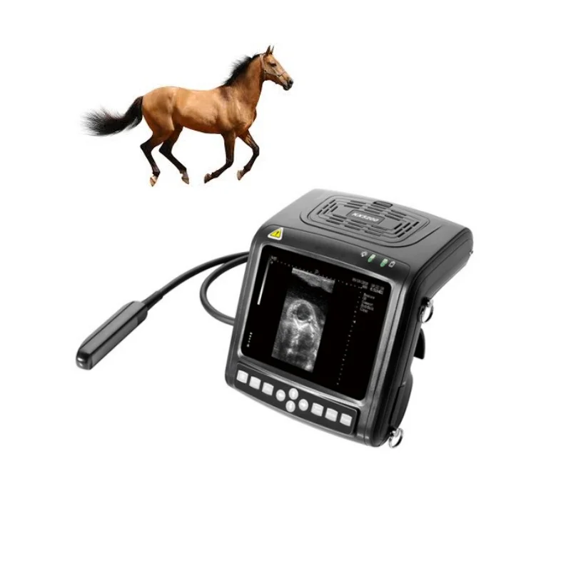 KX5200V KX5200 KAIXIN portable VET ultrasound/ Veterinary Ultrasound Machine/Vet Handheld Ultrasound Scanner for cows and pigs