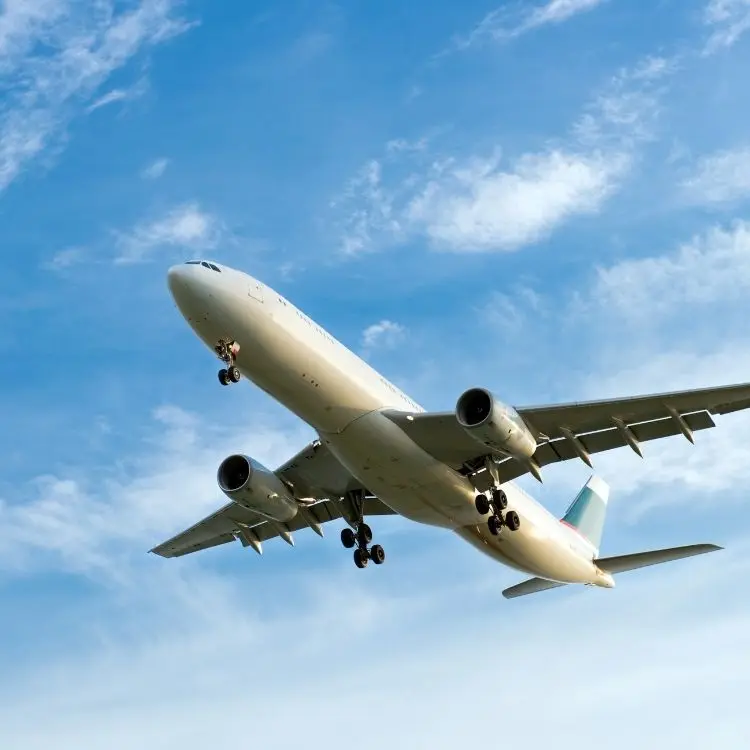 International cheapest and fast freight forwarding shipping agency sea freight forwarding China to Spain/Saudi Arabia