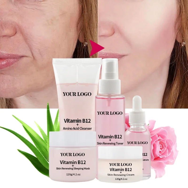 OEM Face & Body Beauty Organic Amino Acid Vitamin B12 Facial Skincare Kit Gifts Whitening Anti Aging Skin Care Set