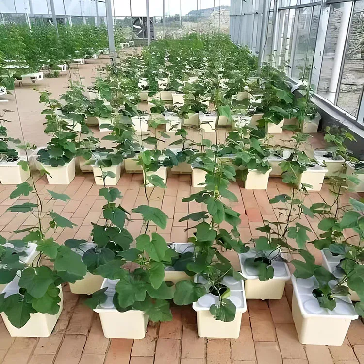 Factory direct sale PP material square planting Dutch barrel for large tomato planting