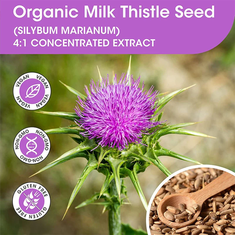 KANGMAO Private Label Milk Thistle Gummies Hangover Gummies Vegan Liver Detox Gummy for Anti Hangover Recovery