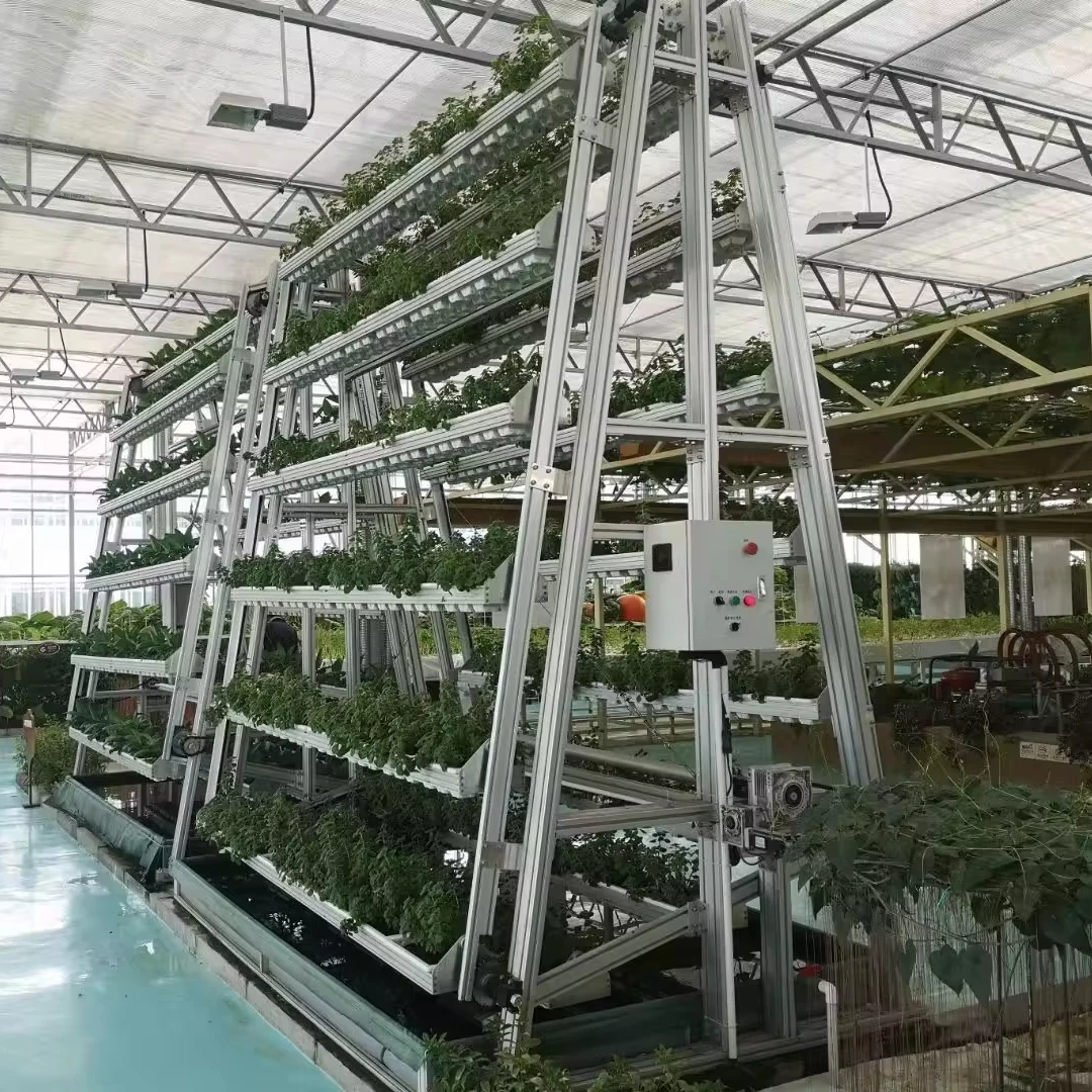 Greenhouse manufacturer salad lettuce PVC nft guttes hydroponics green house for farm