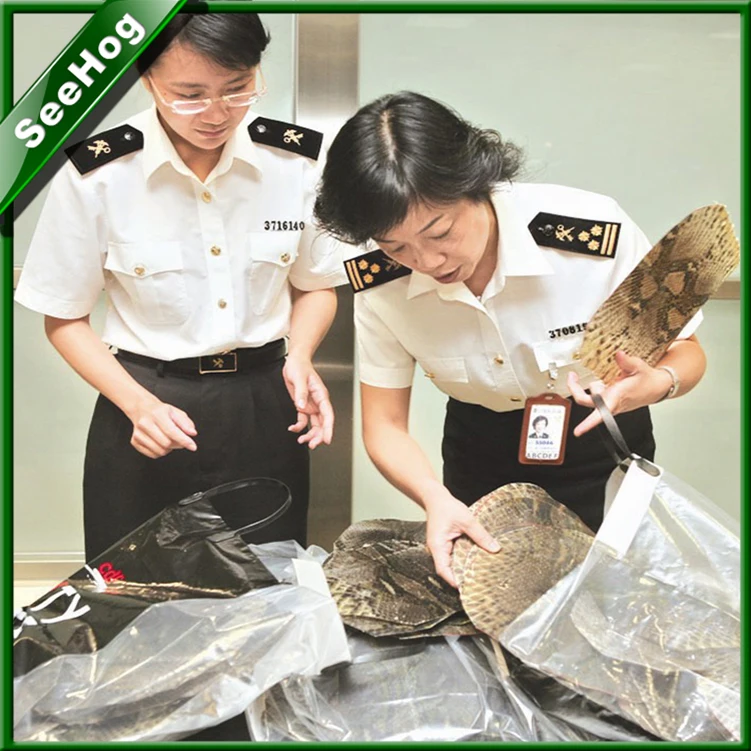 Security gateway module Shenzhen DHL import clearance company 13712788556