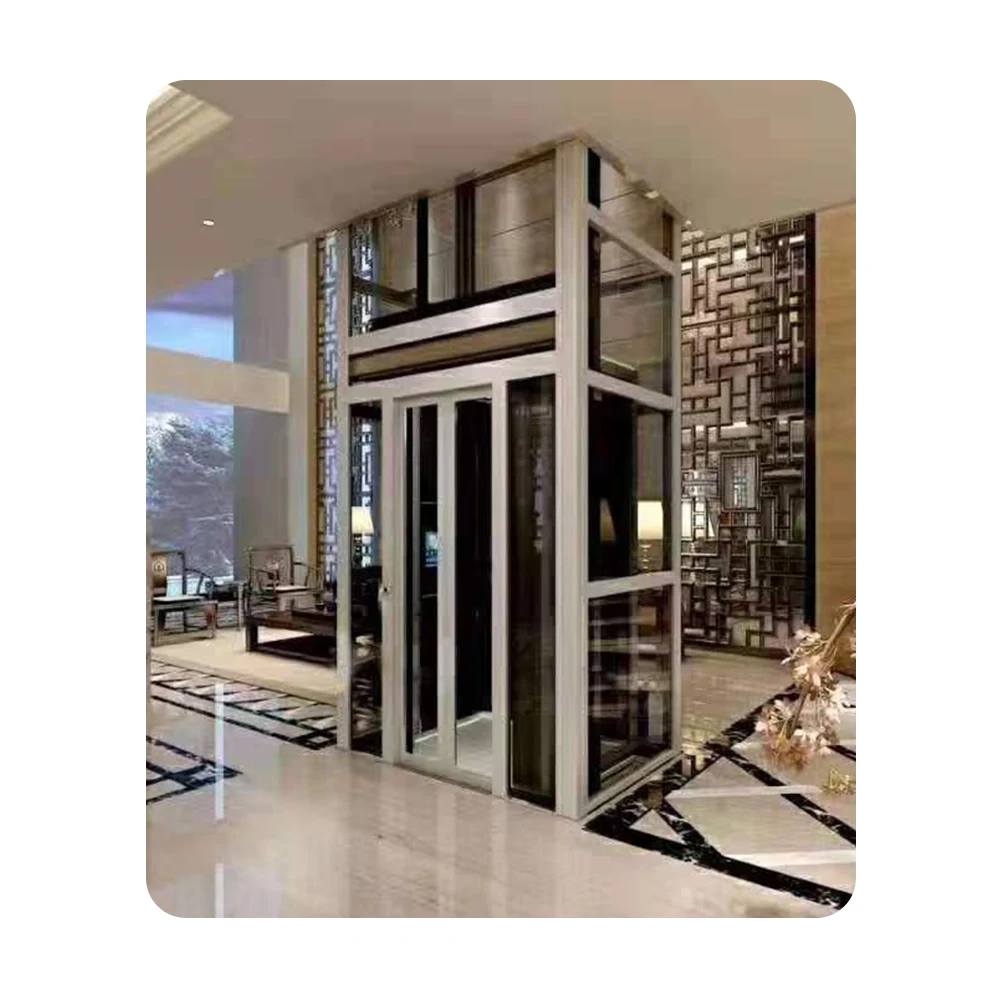 Customized AC Modern Villas Villa House  passenger platform lift residential home elevator
