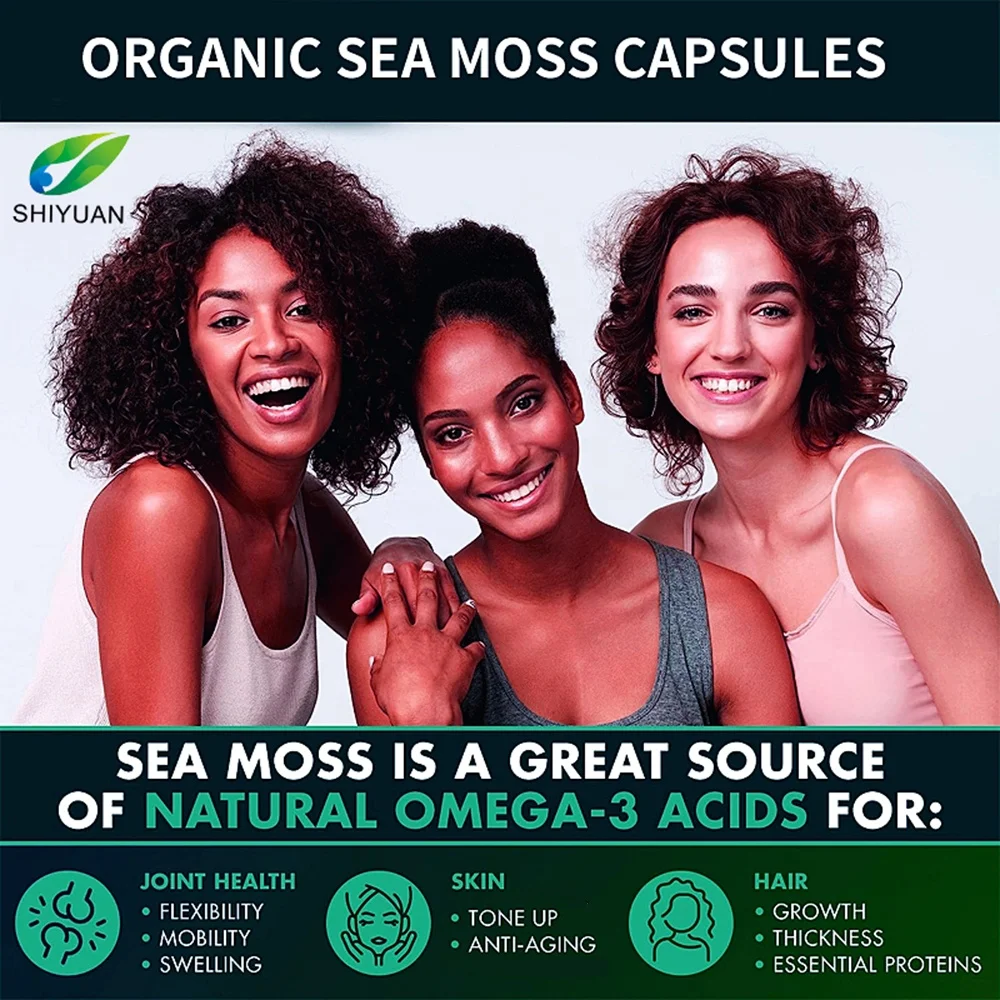 Organic Seaweed Capsule Burdock Root Irish Moss And Bladerwack Capsule Immune System Intestinal Cleaning Supplement 120 Capsules