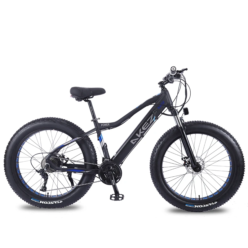  Ebike 1000 Вт на заказ ebike Скрытая батарея толстый Электрический велосипед 750 пляж горный жир