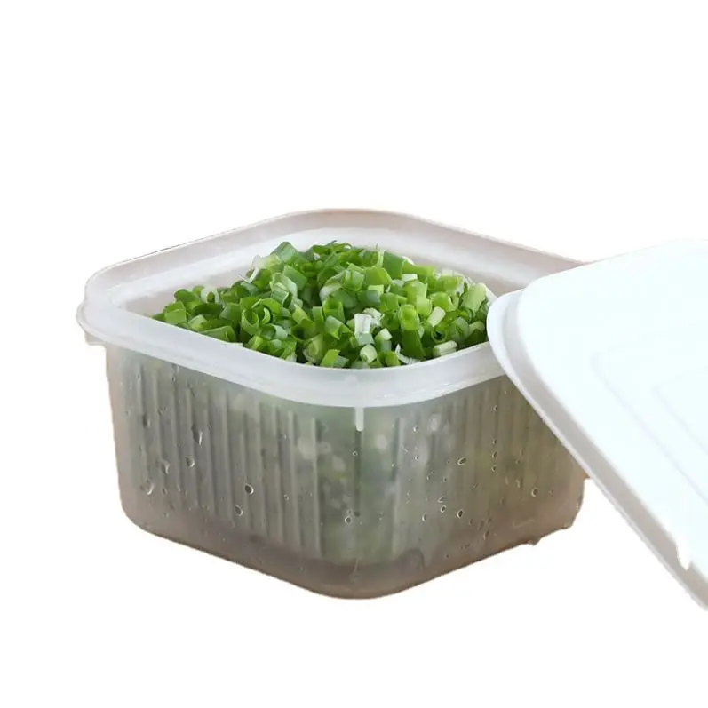 Polypropylene Transparent Storage Crisper Plastic Food Container F092